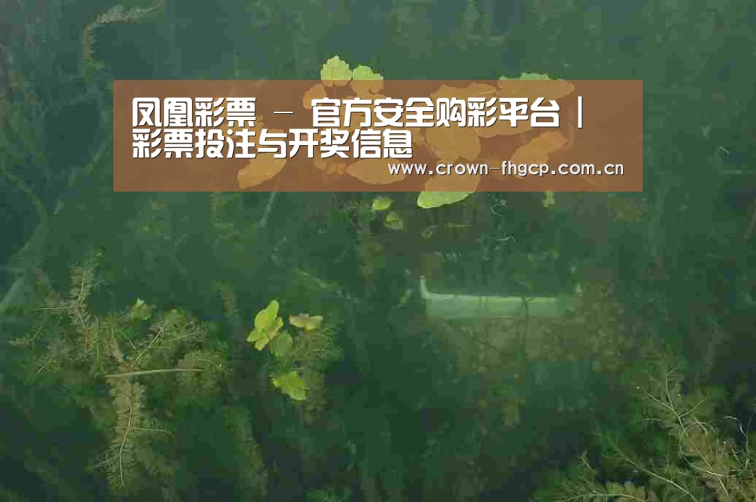 案例展示三(图1)