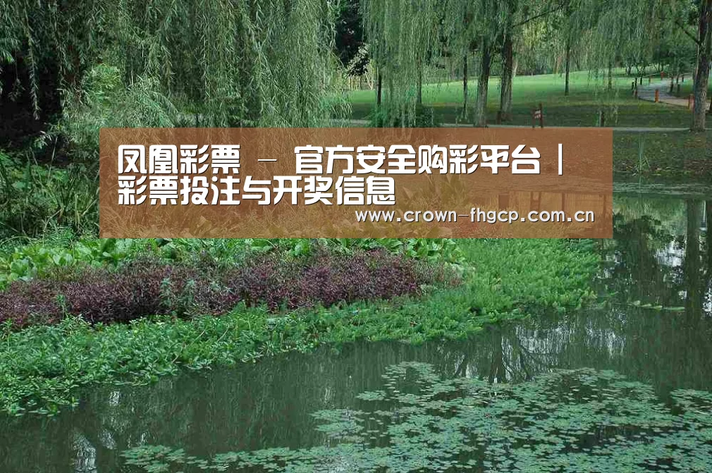 案例展示一(图1)