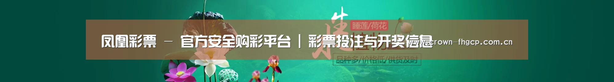 鲜花水草花卉网站模板