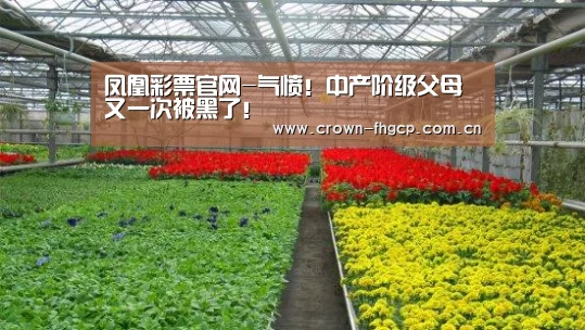 鳯凰彩票